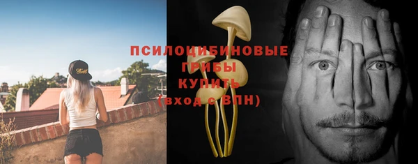 эйфоретик Белокуриха