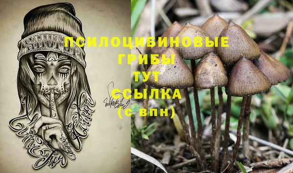 Альфа ПВП Балабаново