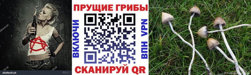 Купить где  Малмыж  Псилоцибиновые грибы ЛСД 
